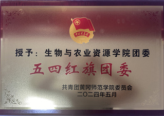 2024.5 五四红旗团委